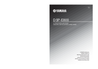 Yamaha DSPE-800 - Owners Manual 